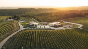 Vini Vallepicciola: quando i calici sanno inebriare e raccontare Vini Vallepicciola: quando i calici sanno inebriare e raccontare